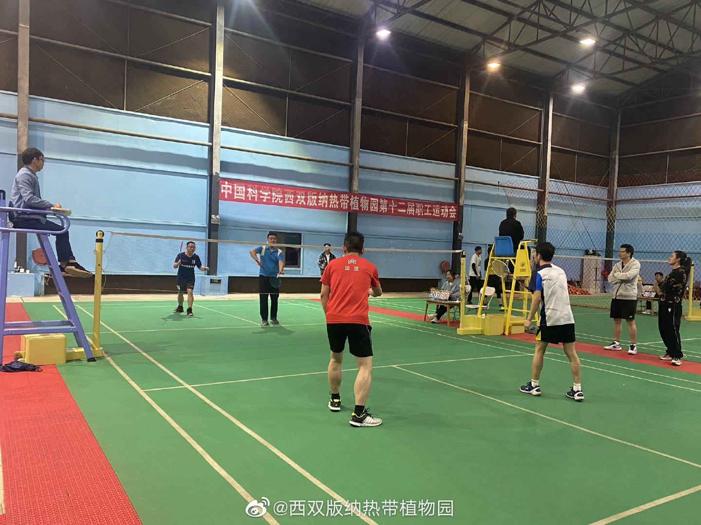 西双版纳热带植物园微博