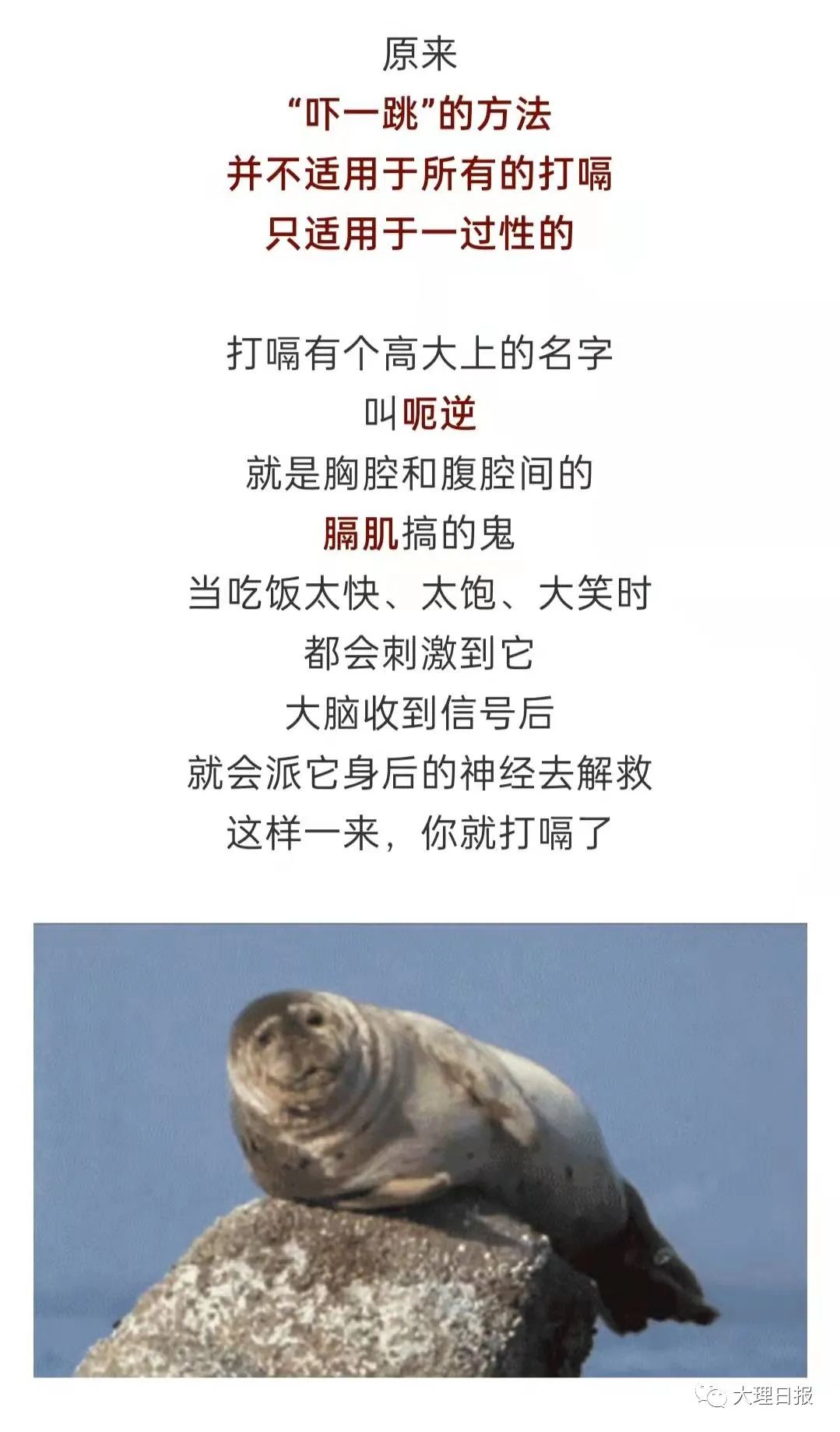大理日报
