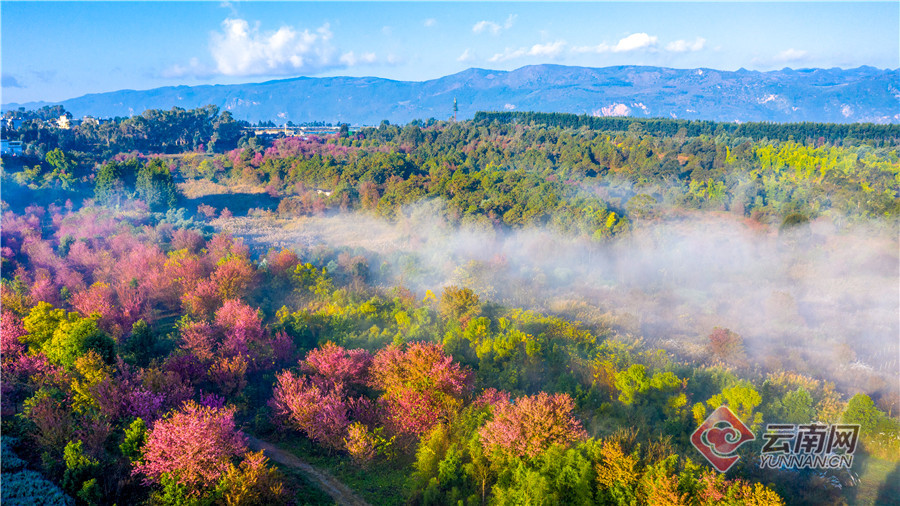 云南省文化和旅游厅