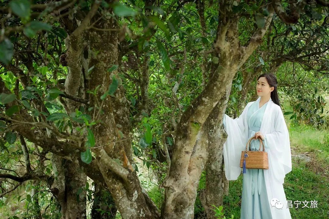 保山新闻网