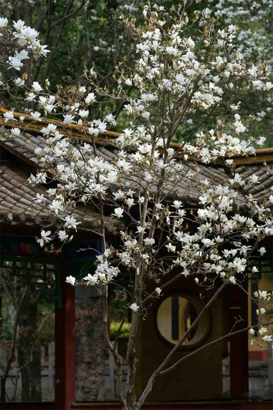 文明昆明