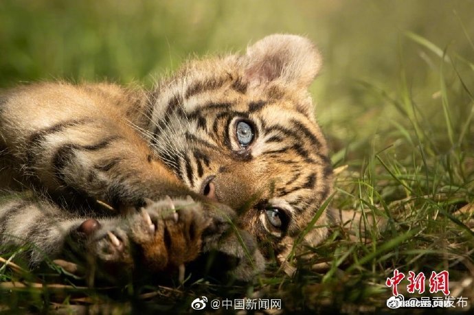 呈贡发布