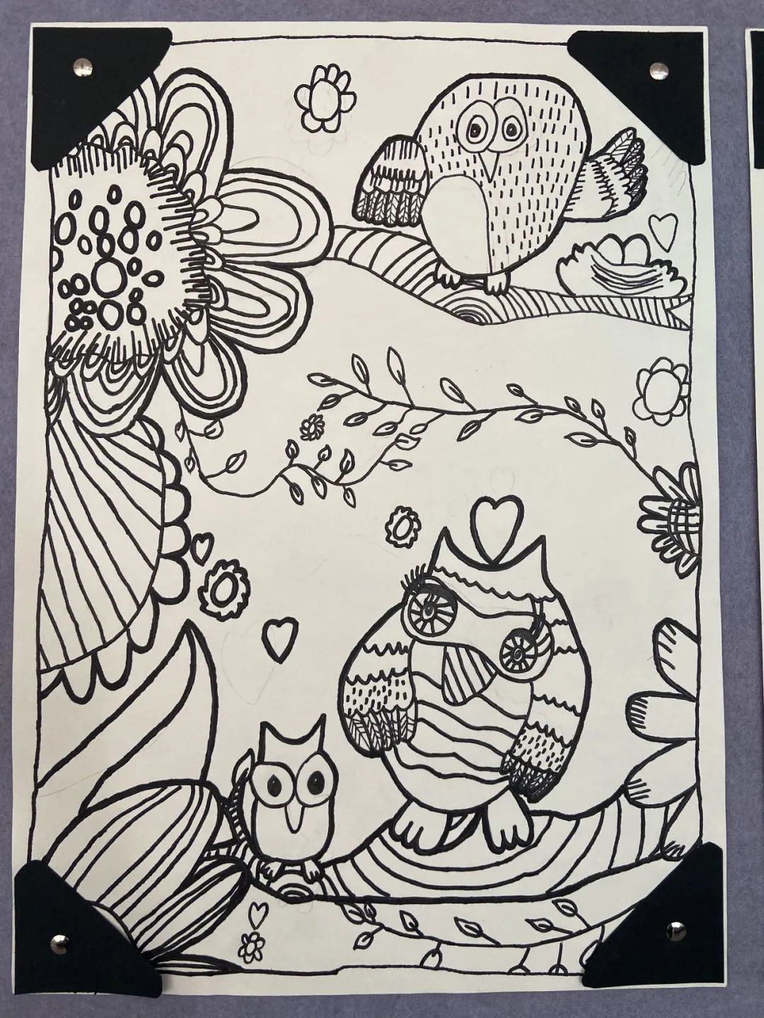 盘龙教育(微信)