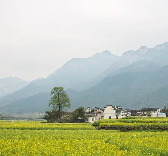 昆明市延安医院