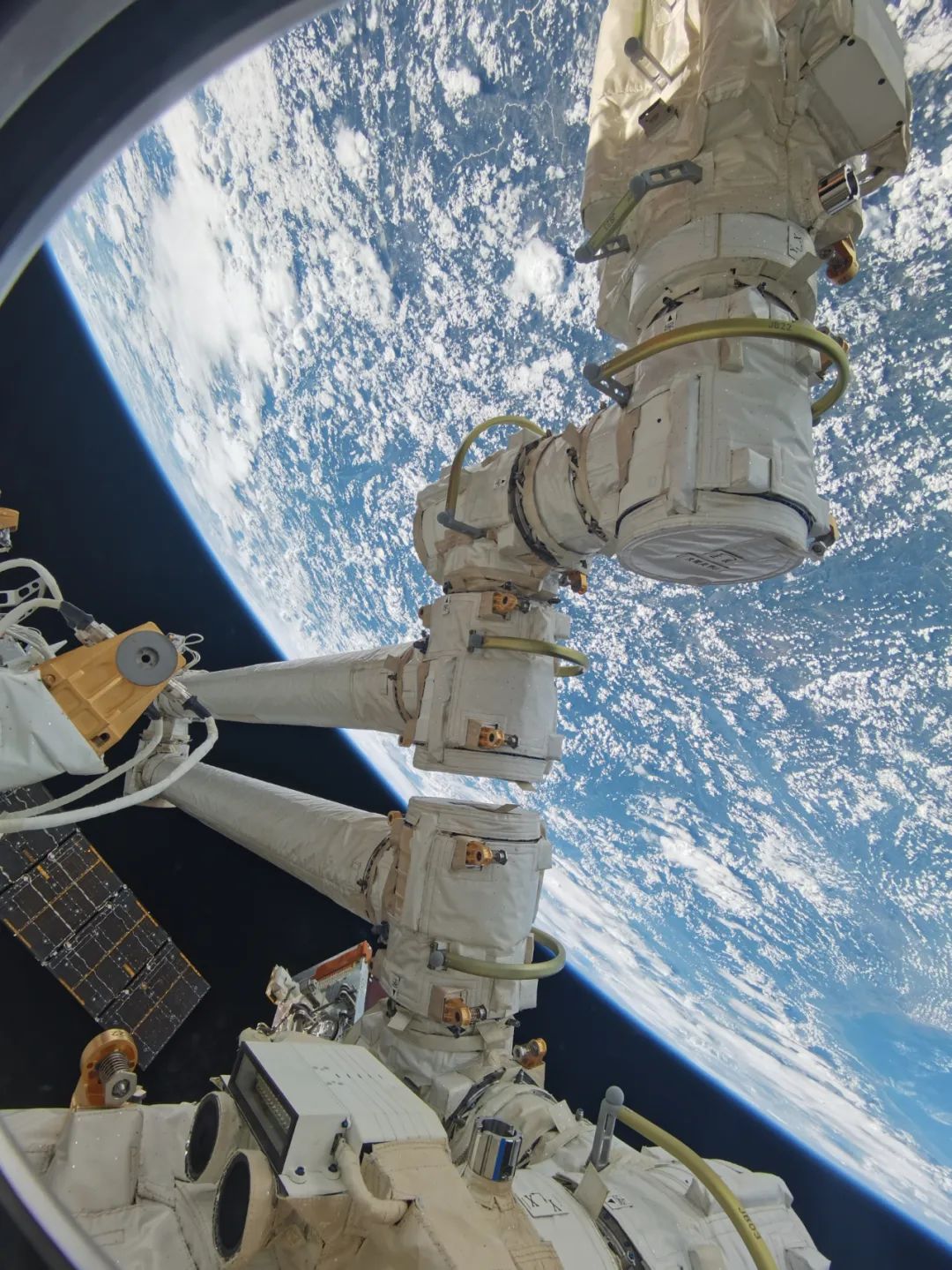 美丽云南微科普