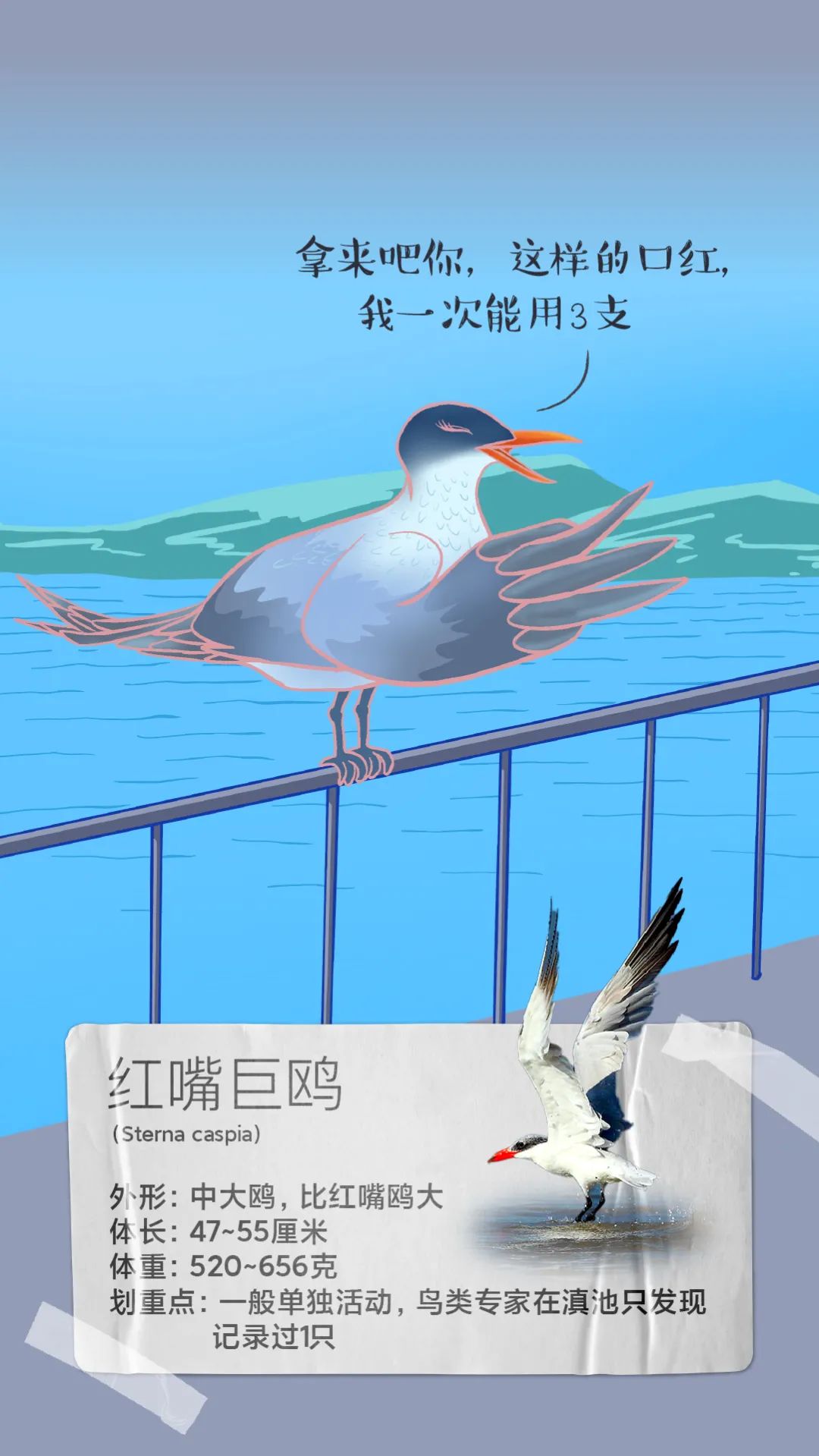 昆明发布