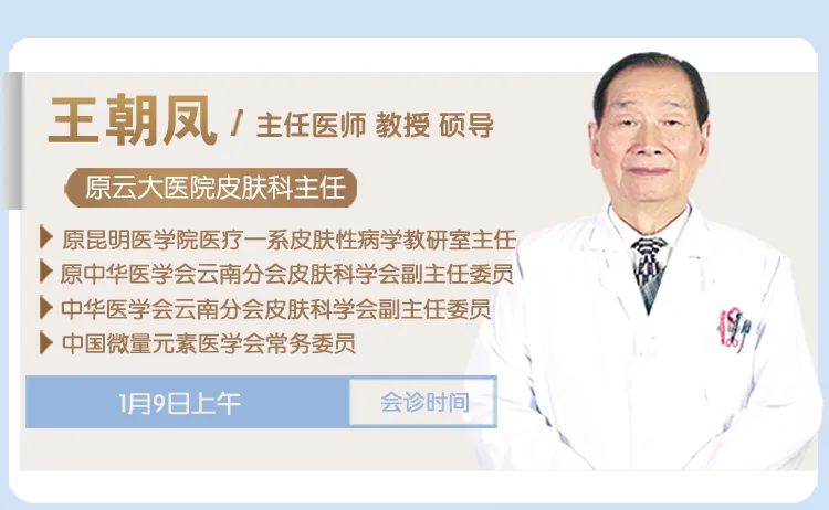 掌上春城微信公众号