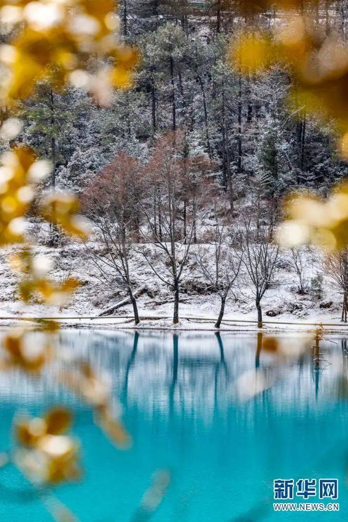 昆明信息港/cnkmxxg