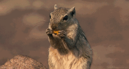 我为什么劝你冬天早餐加把坚果