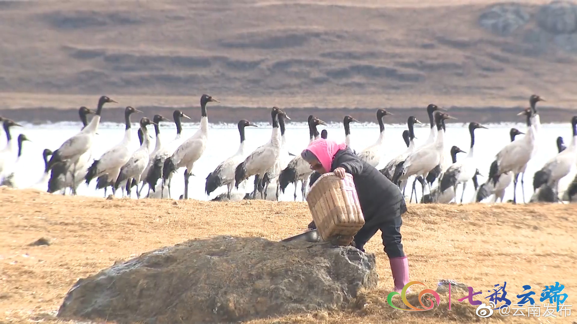 “云南发布”微博