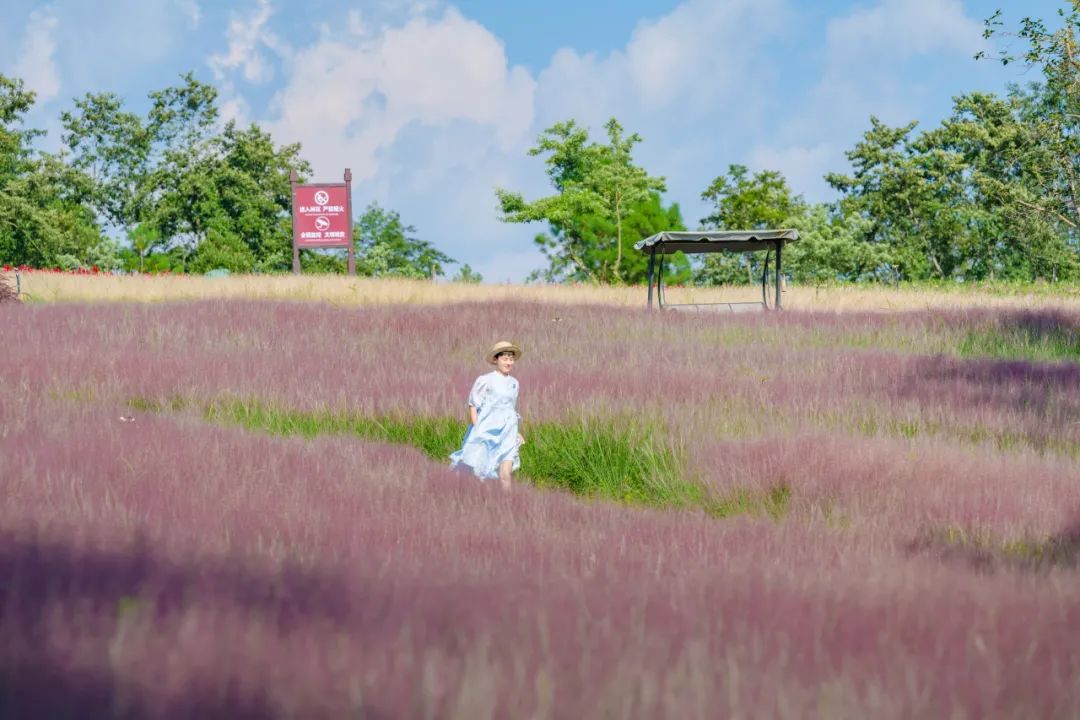 保山新闻网