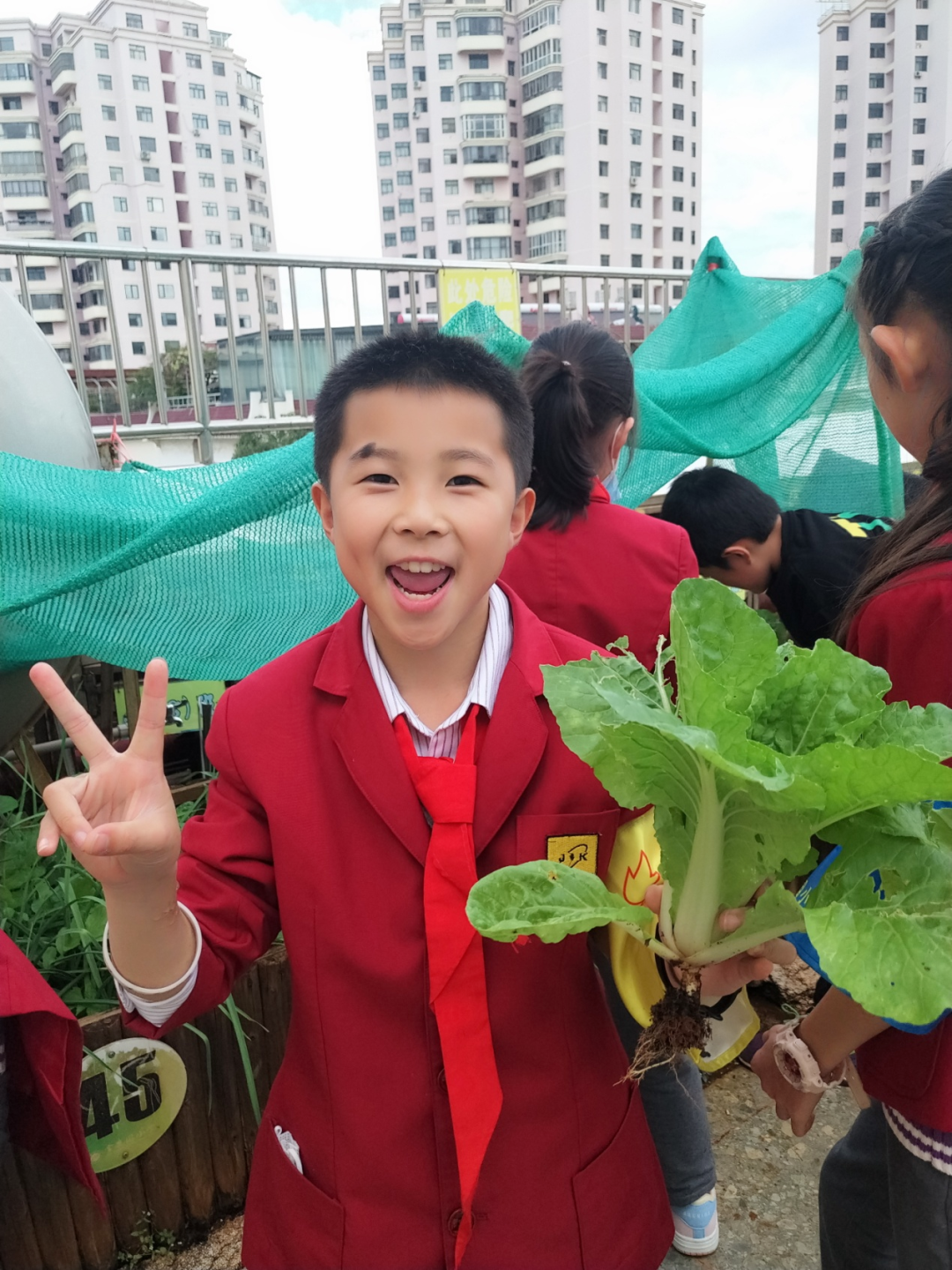 盘龙教育(微信)