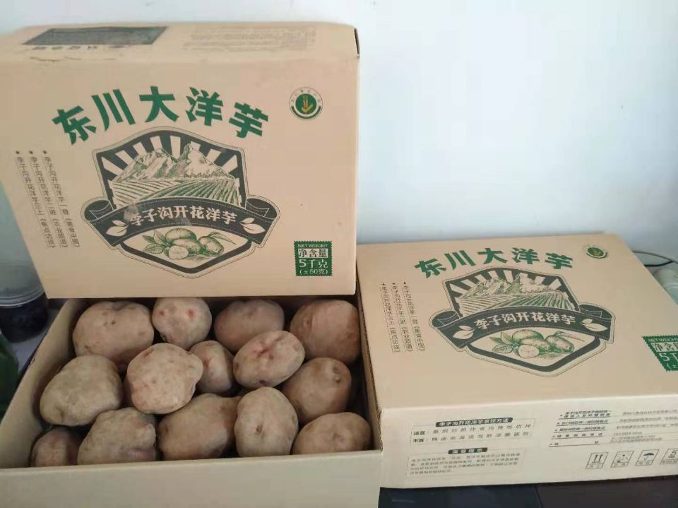 东川发布(微信)