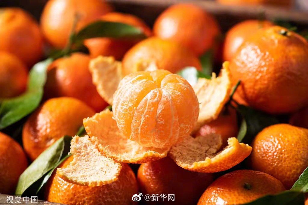 福利来啦！转发来炫砂糖橘！