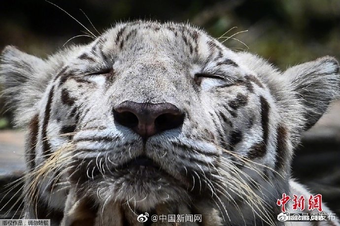 呈贡发布