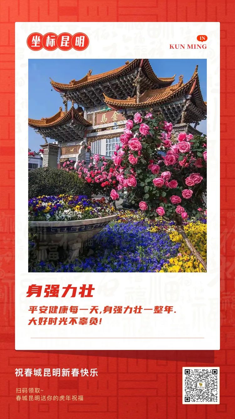 昆明信息港/cnkmxxg