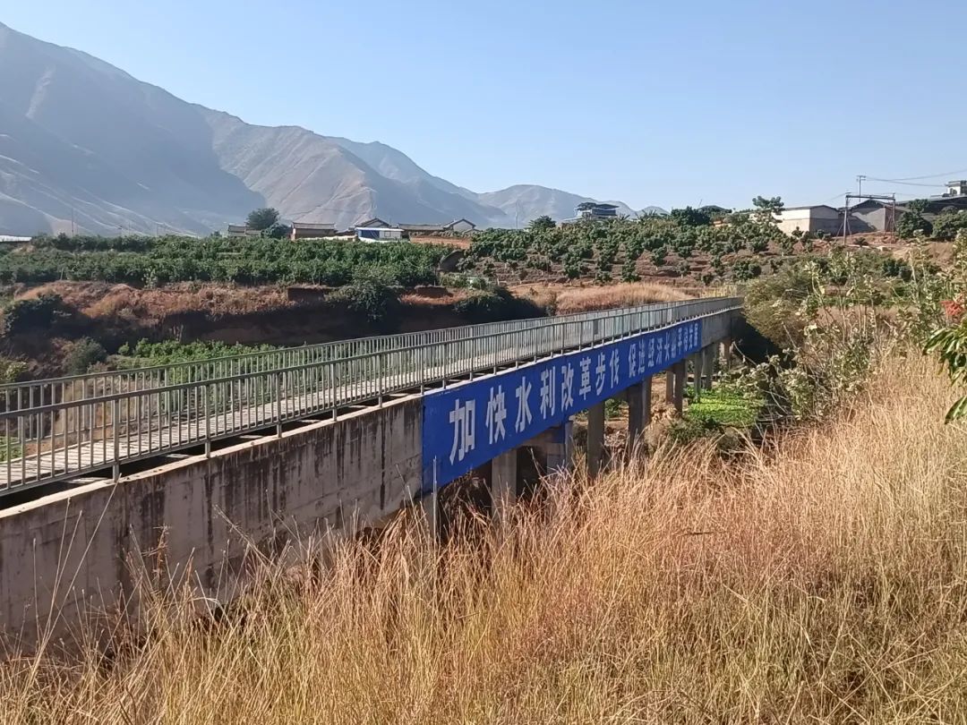 丽江日报