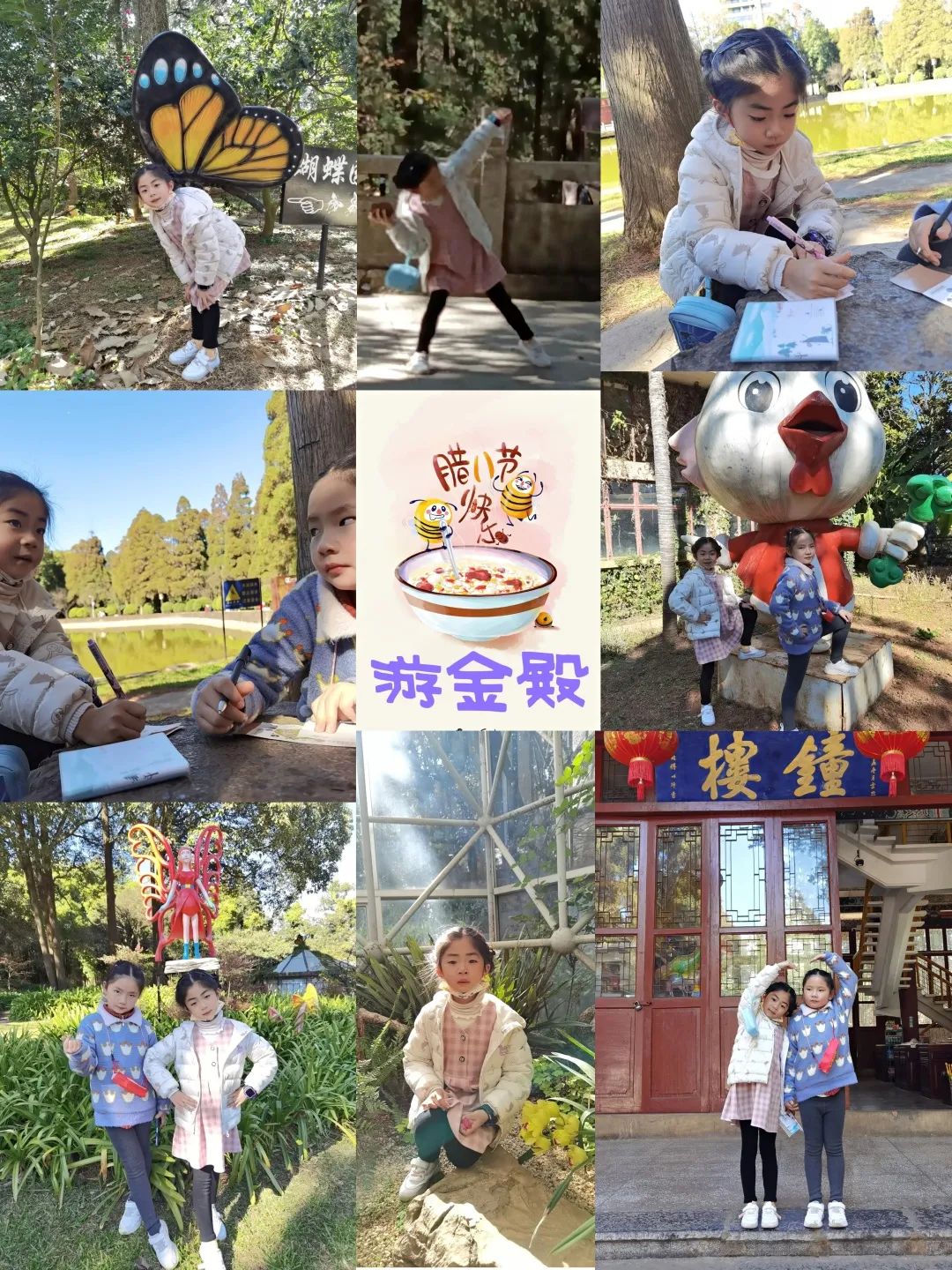 盘龙教育(微信)