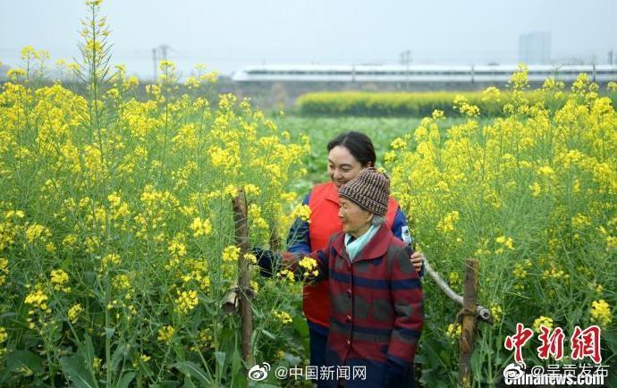 2025年中国人均预期寿命78.3岁