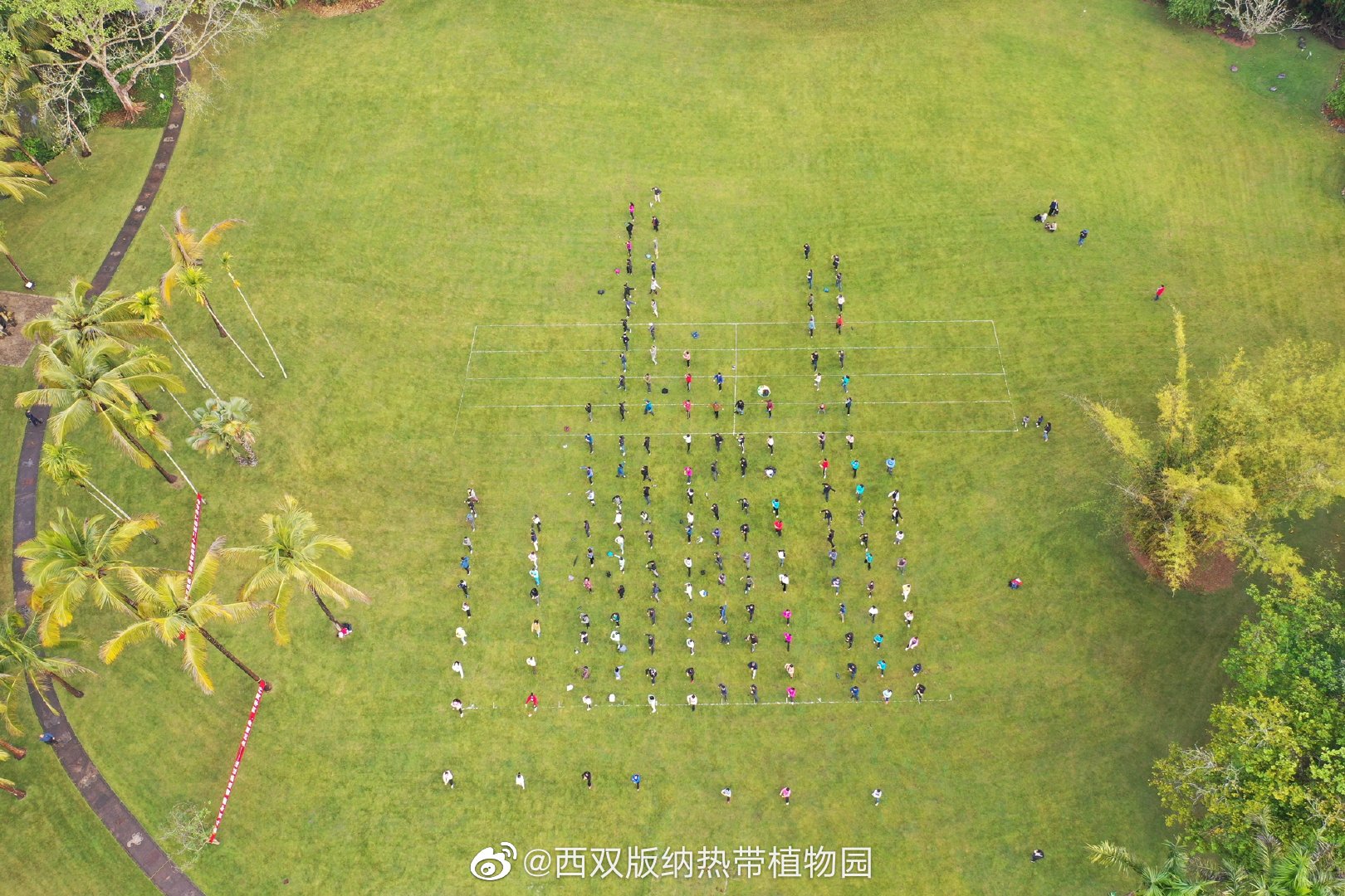 西双版纳热带植物园微博