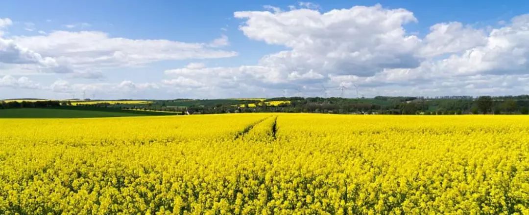 昆明市延安医院