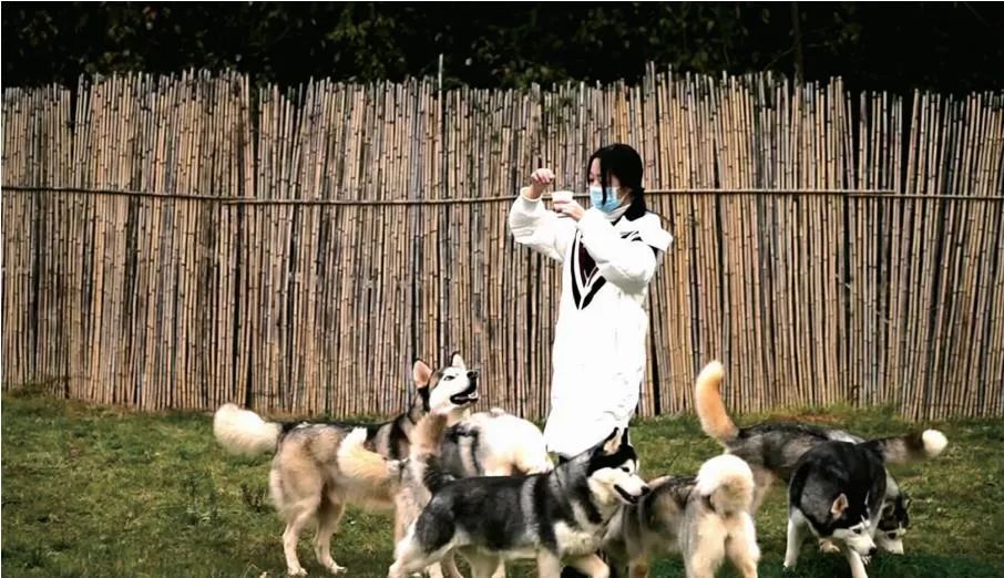 掌上春城微信公众号