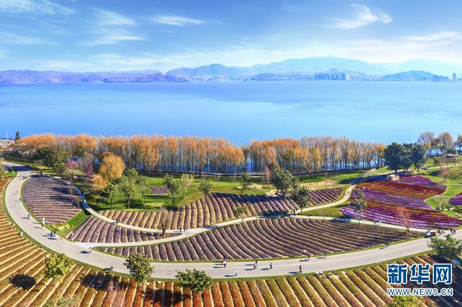 昆明信息港/cnkmxxg