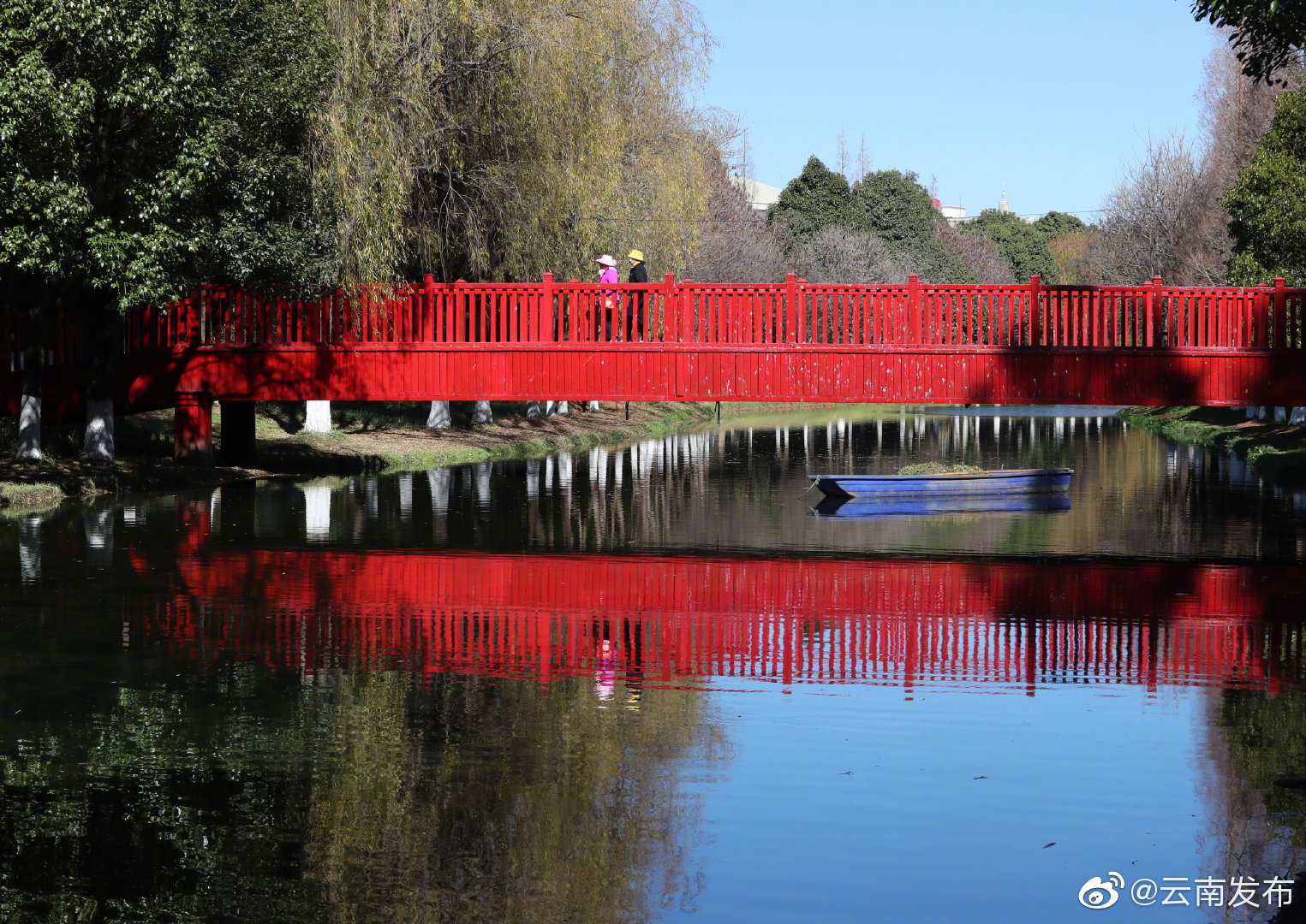 昆明小寒艳阳天 采莲河边景致美