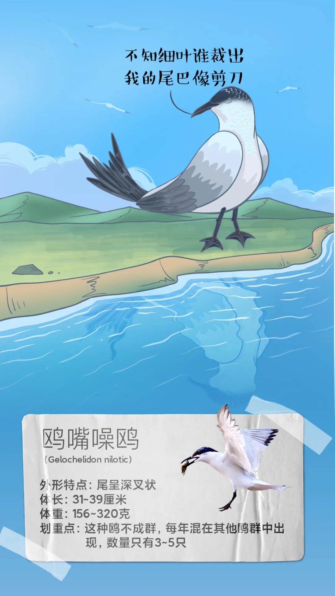 昆明发布
