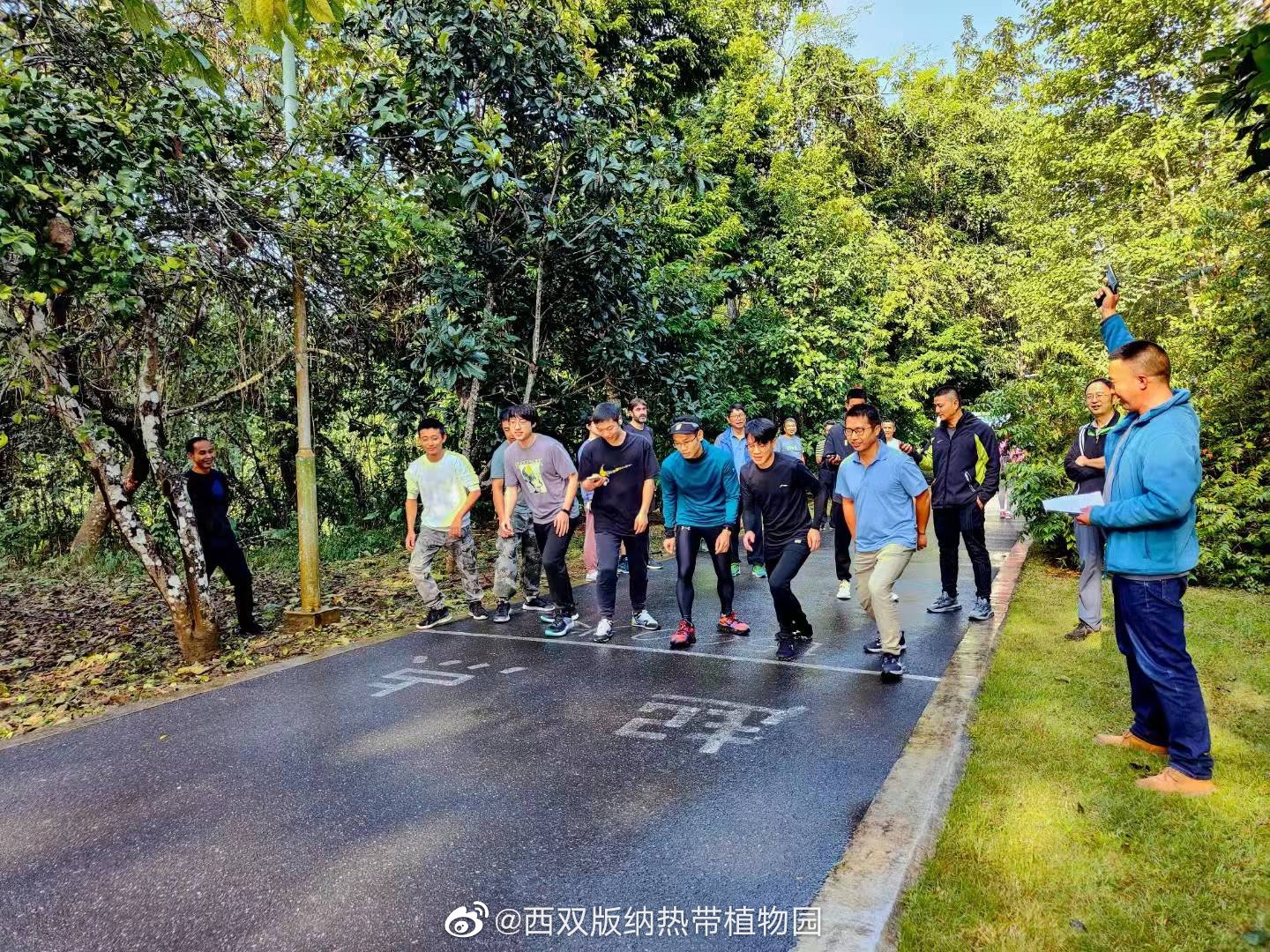 西双版纳热带植物园微博