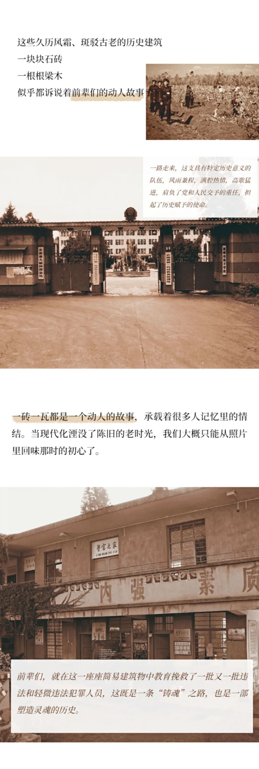 云南政法