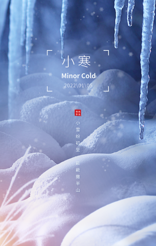 西双版纳望天树景区