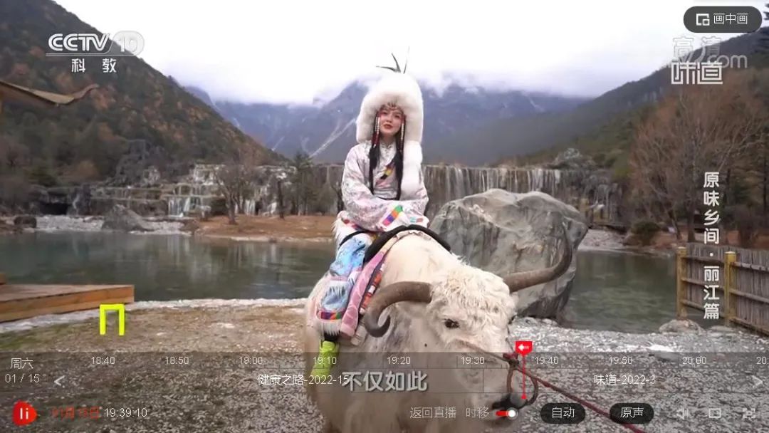 丽江日报