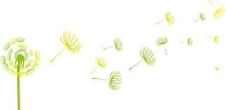 昆明市劳动就业服务局