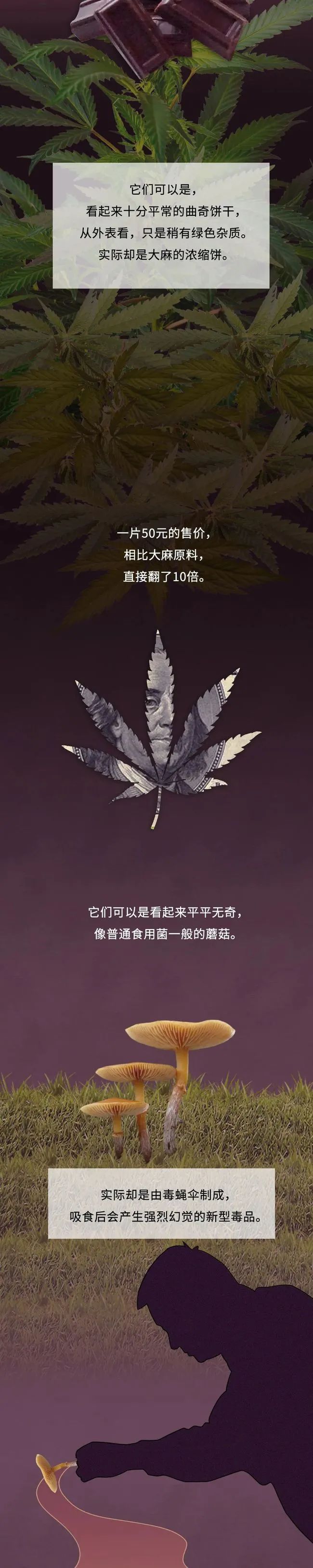 东川发布(微信)