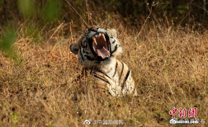 呈贡发布