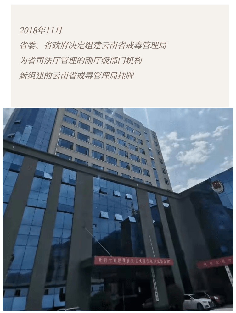 云南政法