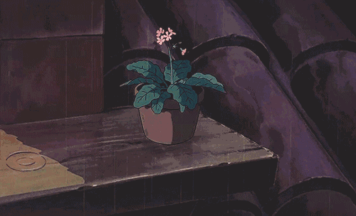 “昆明市西山区发布”微博