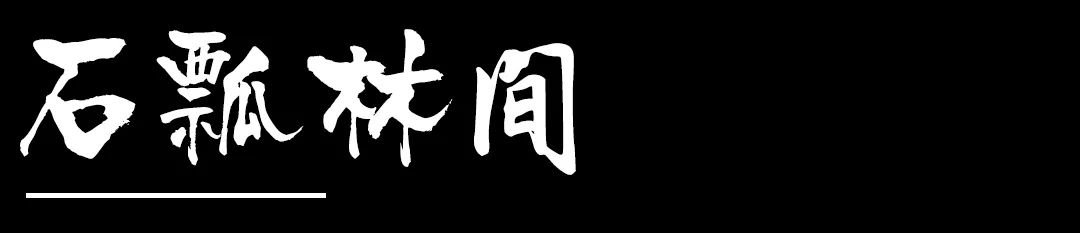 保山新闻网