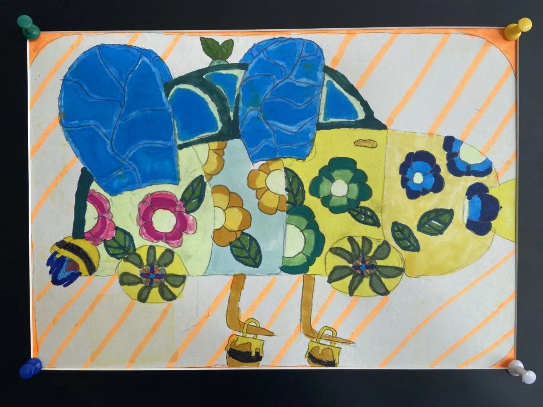 盘龙教育(微信)