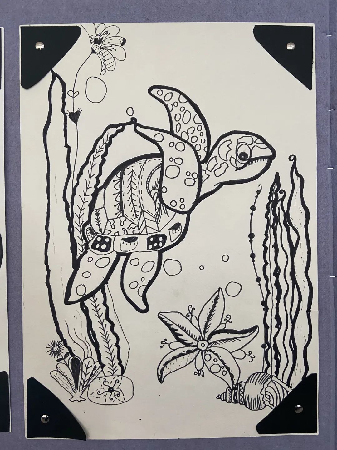 盘龙教育(微信)