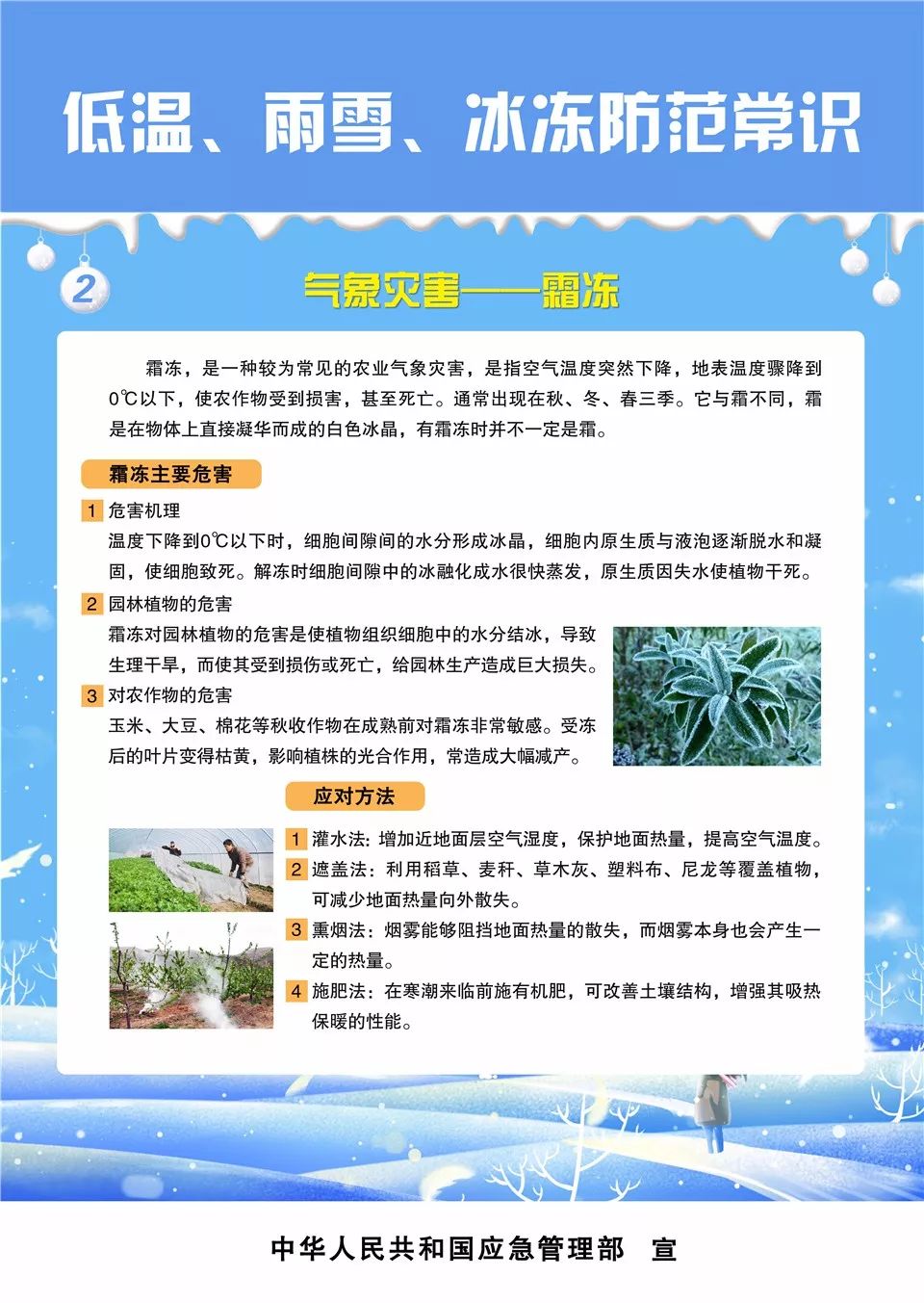 云南法制报