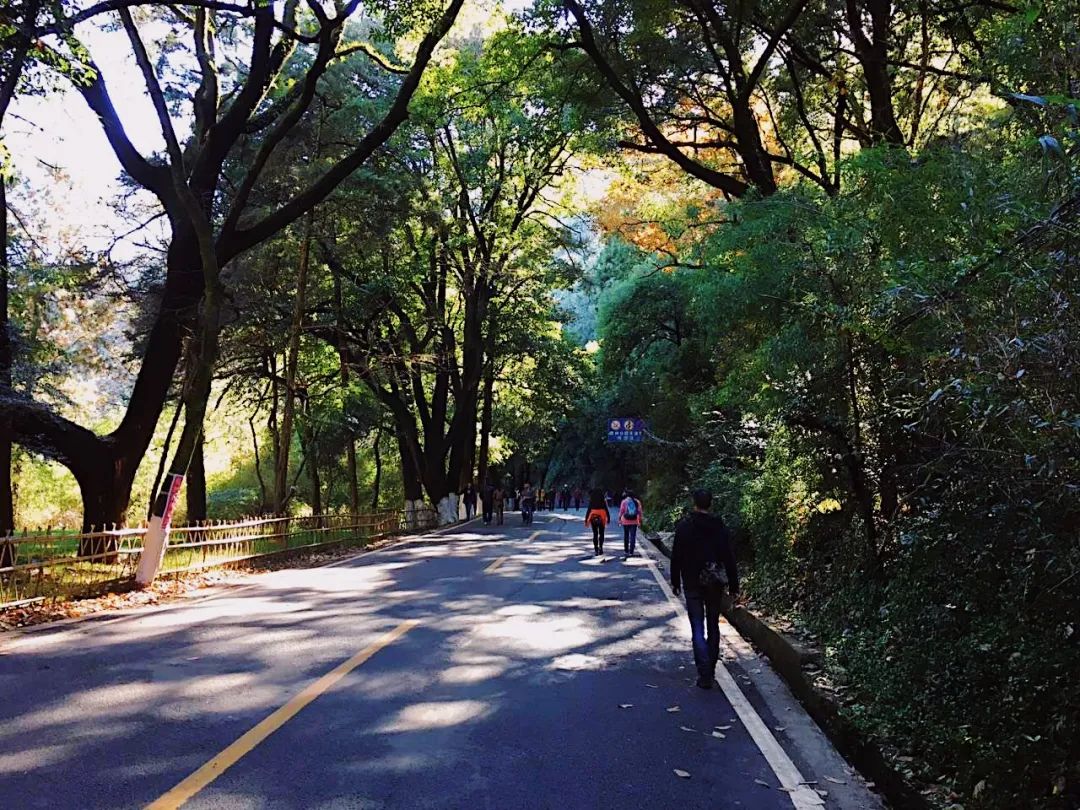 昆明滇池国家旅游度假区管理委员会(微信)