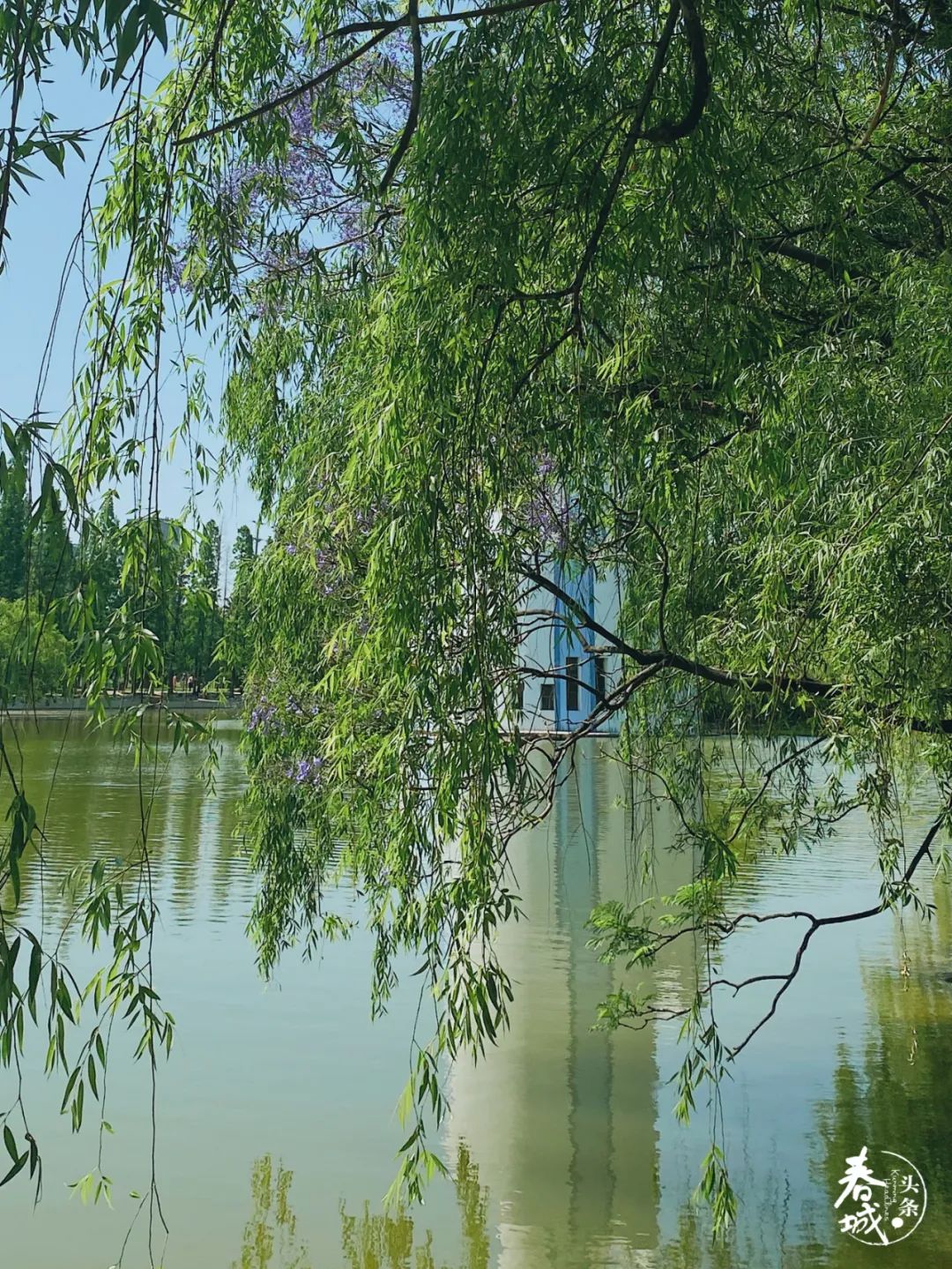 昆明滇池国家旅游度假区管理委员会(微信)