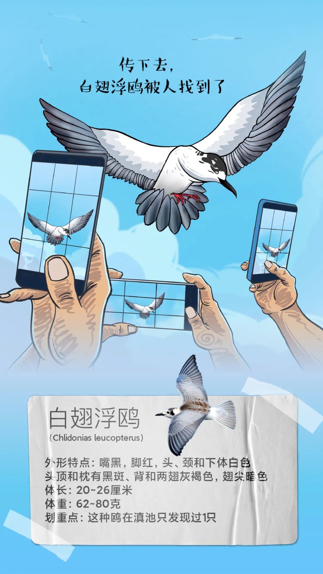 昆明发布