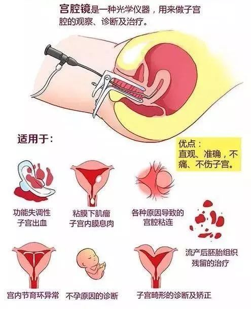 蒙自中医