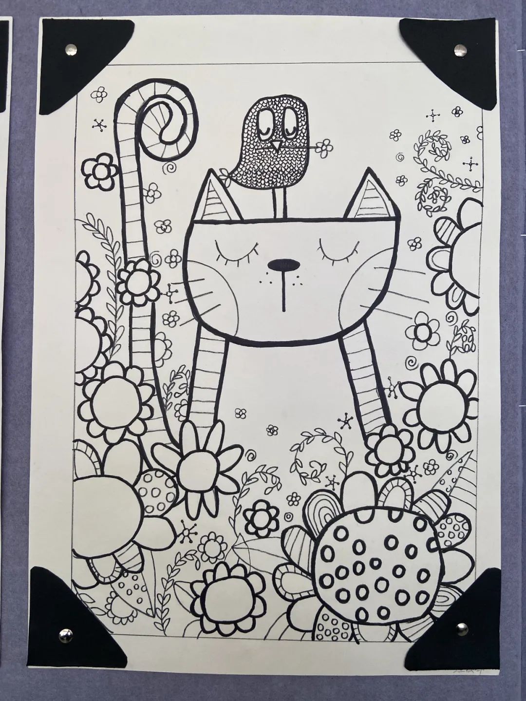 盘龙教育(微信)