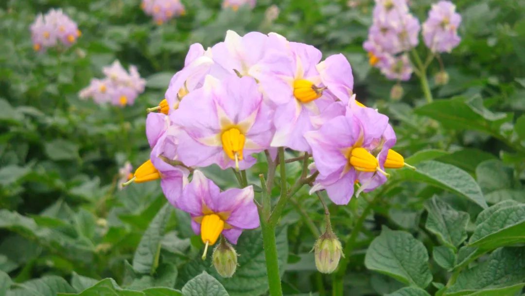 东川发布(微信)