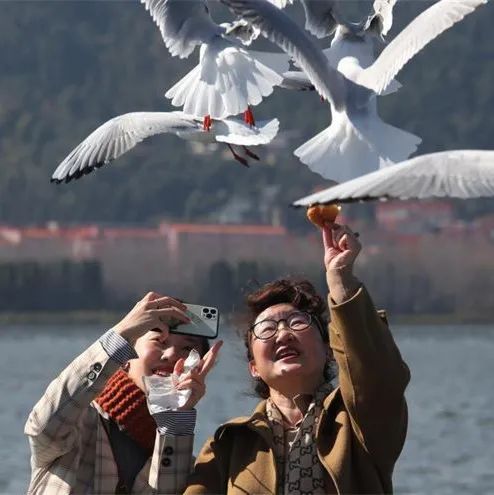昆明发布
