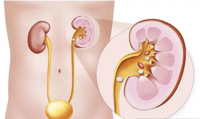 云南省中医医院